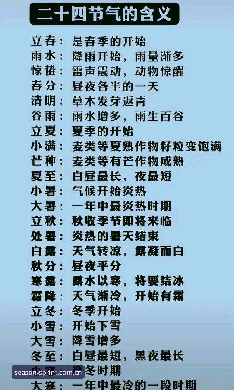 5个维度深度对比：四季体育登录体验的全面升级报告